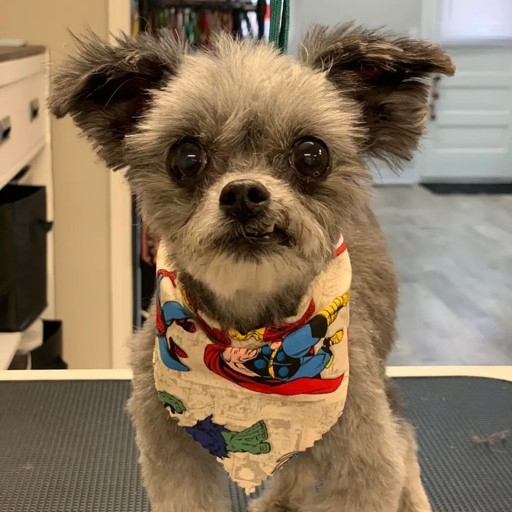 Meet your Posher, Kara